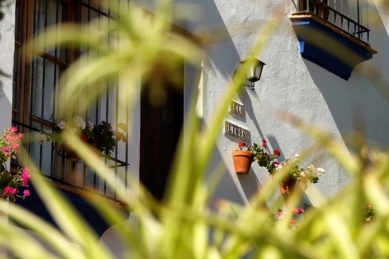 Casitas De La Sierra Vila Montejaque Exterior foto